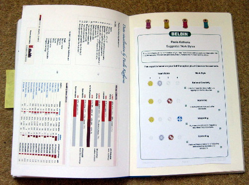 Rational Creativity Improving Integrating Correcting