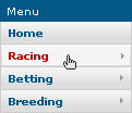[Mouseover racing menu item]